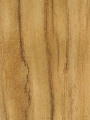 Special Afzelia veneer