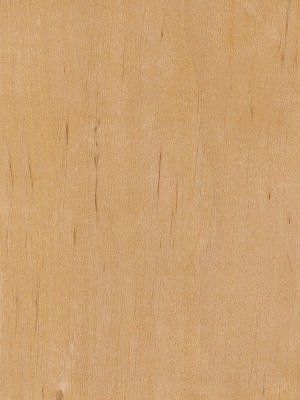 Alder veneer