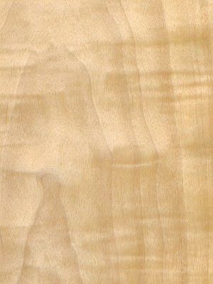 Crown Figured Anegre veneer