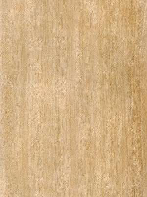 Quartered Anegre veneer