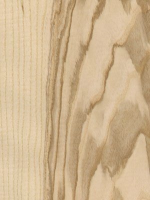 Crown Figured Olive Ash veneer