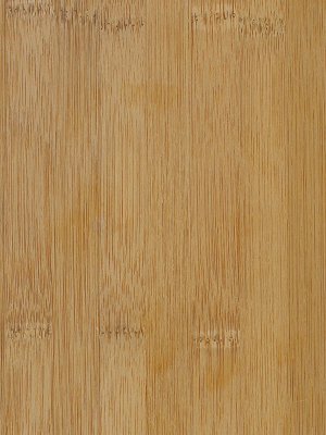 Wide Grain Caramel Bamboo veneer