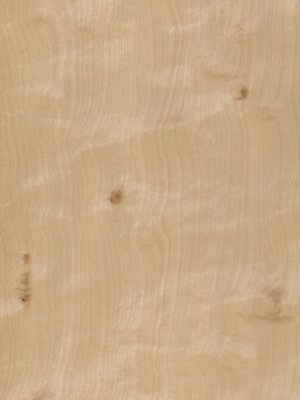 Apple Birch veneer