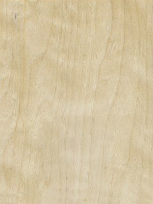 Ice Birch veneer
