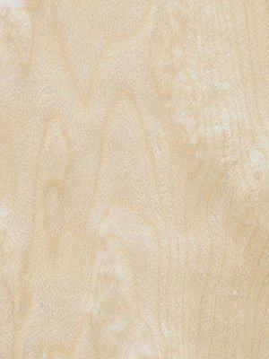 Rotary European Birch veneer