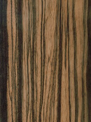 Rose/Amara Macassar Ebony veneer