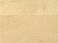 Birch 3-layer panels