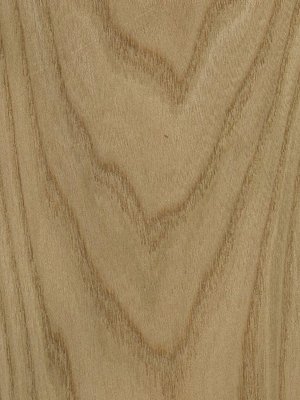 Crown European Elm veneer