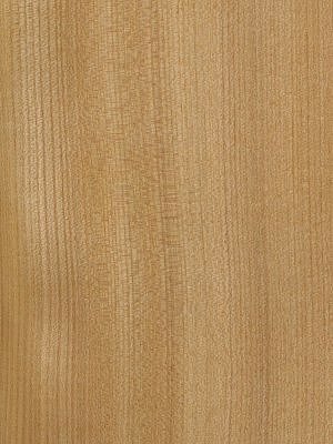 Quartered European Elm veneer