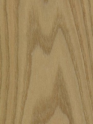 Crown American Red Elm veneer