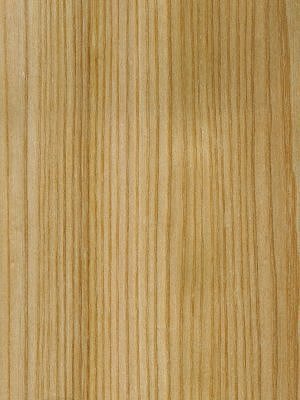 Quartered American Red Elm veneer