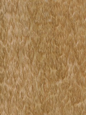 Pommele Eucalyptus veneer