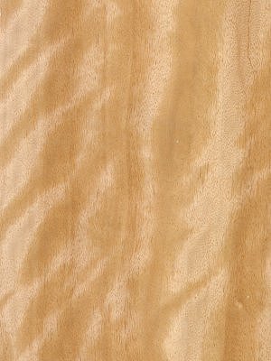 Figured Guarea veneer