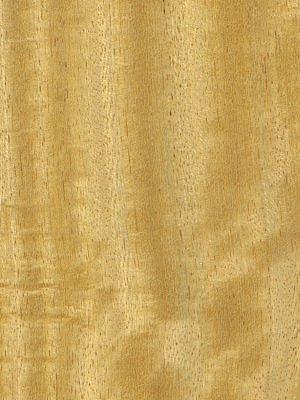 Iroko veneer
