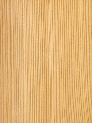 Quartered Larch veneer