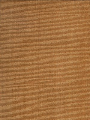 Fiddleback Makore veneer