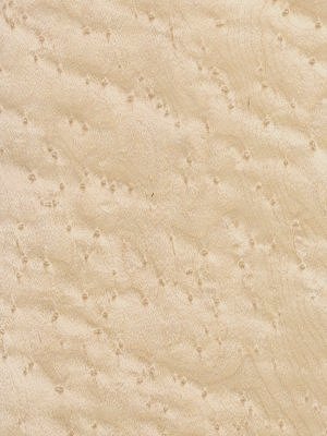 Birdseye Maple veneer