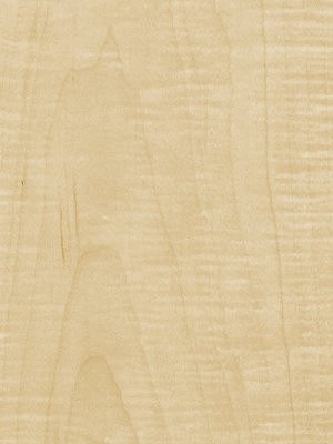 Crown Figured Maple veneer