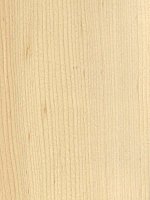 Quartered Maple veneer