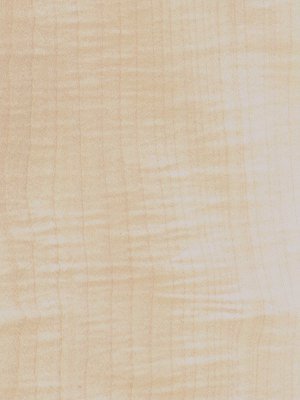Quartered Figured Maple veneer