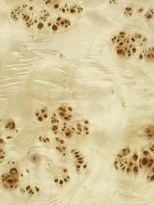 Poplar Burr veneer