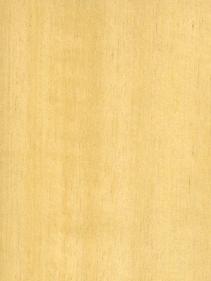 Ramin veneer