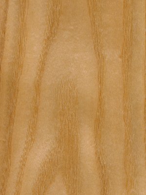 Sassafras veneer