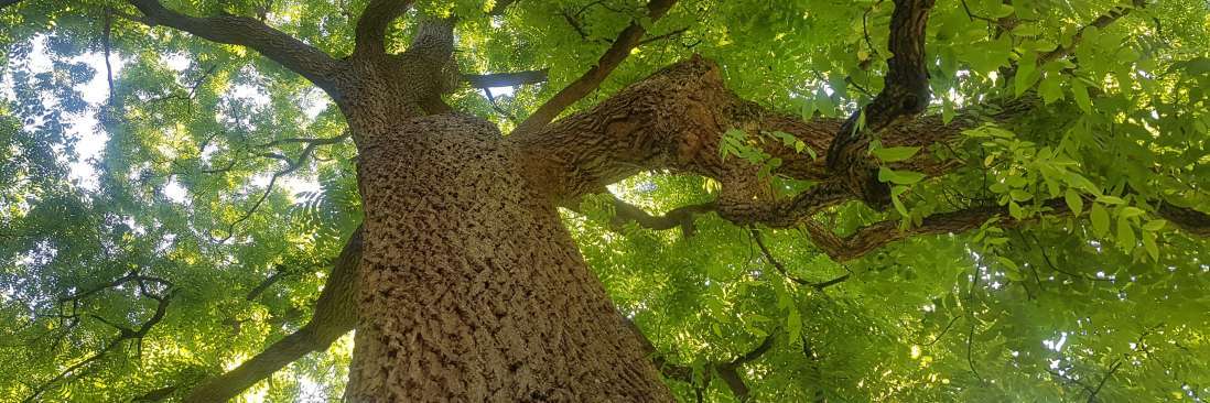 Ash full length panels