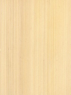 Quartered Spruce veneer