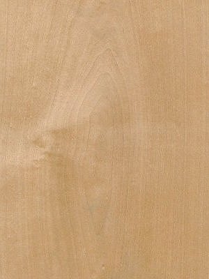 Crown Weathered/Steamed Sycamore veneer