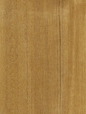 Quartered Teak veneer