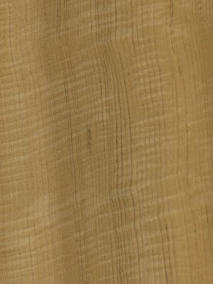 Quartered Figured Teak veneer