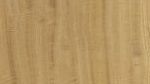 Quartered Satinwood