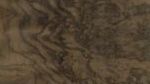 American Walnut Burr