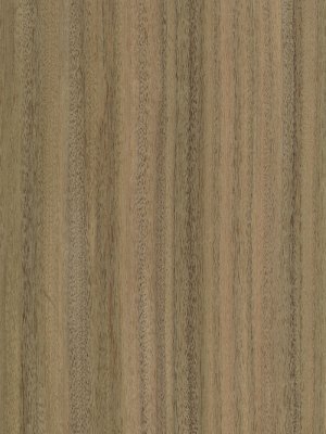 Australian Walnut veneer