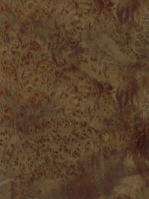 American Walnut Burr veneer