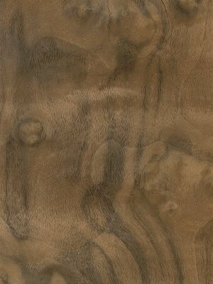 American Walnut Cluster veneer