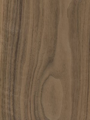 Crown Figured American Walnut veneer