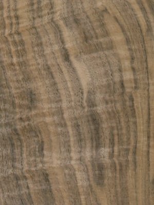 Quartered Figured American Walnut veneer